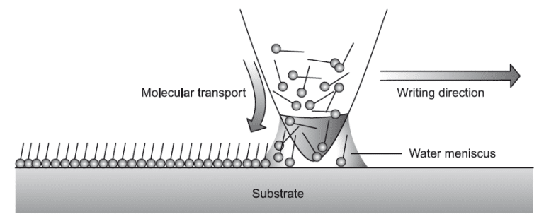 Nanolithography Dip Pen Nanolithography Easy Explanation Chemistry