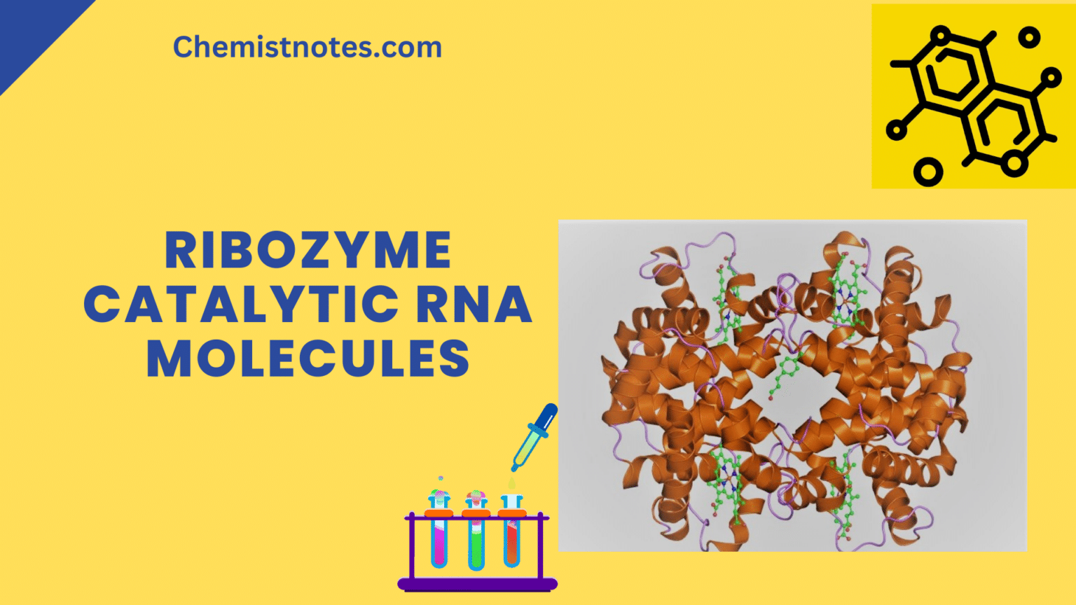 Lipid Definition Classification Examples And Reliable Function