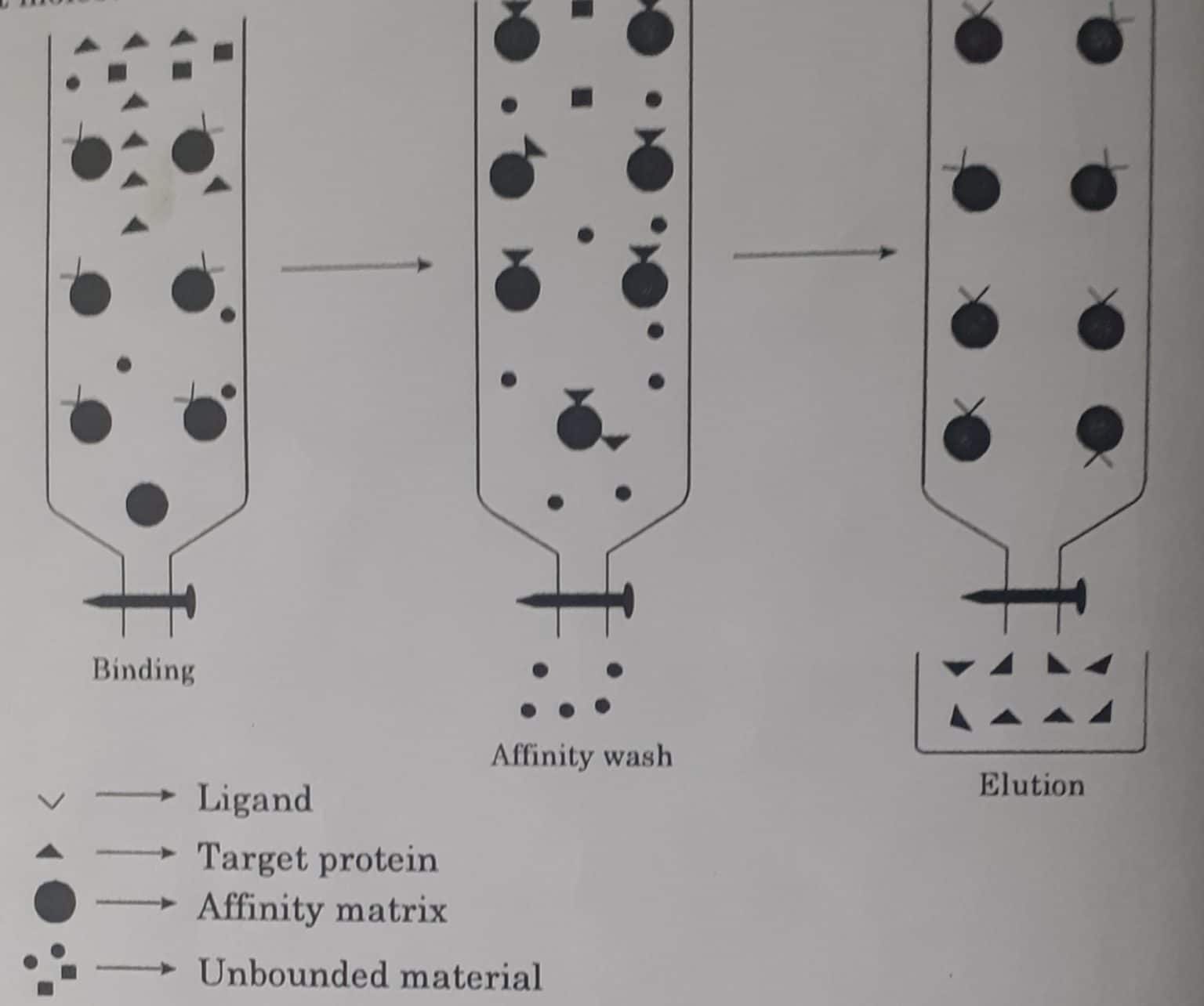 Affinity Chromatography, Principle, Instrumentation, and Application