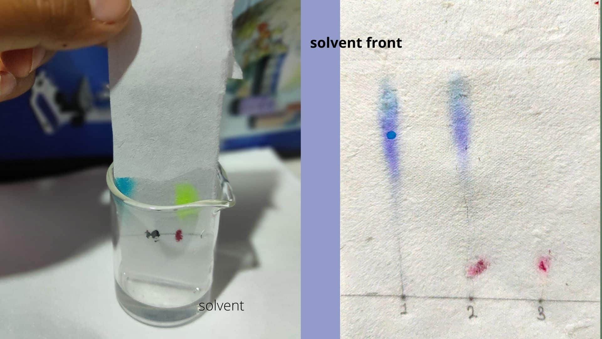 Examples of chromatography mixtures picture