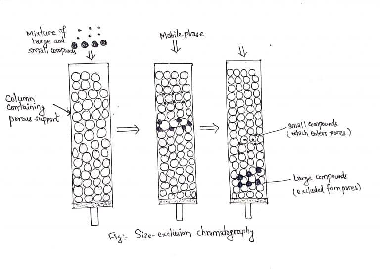 phd thesis size exclusion chromatography