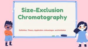 Size exclusion chromatography limitation