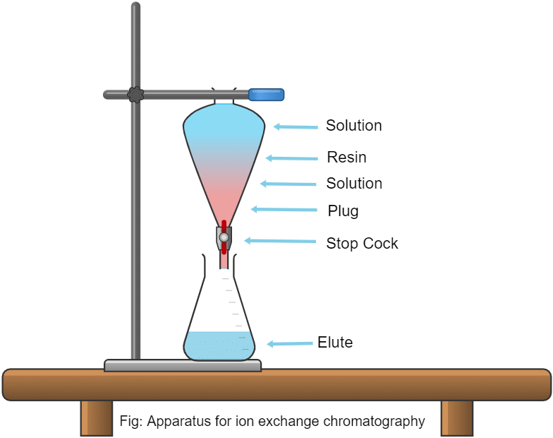 Apparatus/ procedure / process for ion exchange chromatography