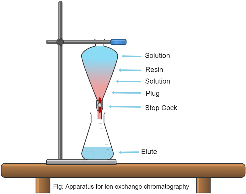 cation-exchange-chromatography-explained-design-talk