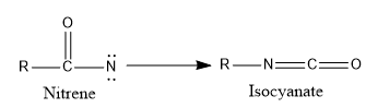 reaction of nitrene