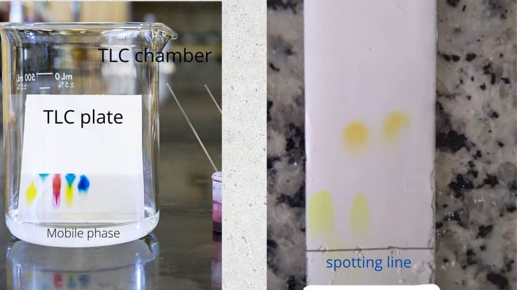 What Is Thin Layer Chromatography A Level