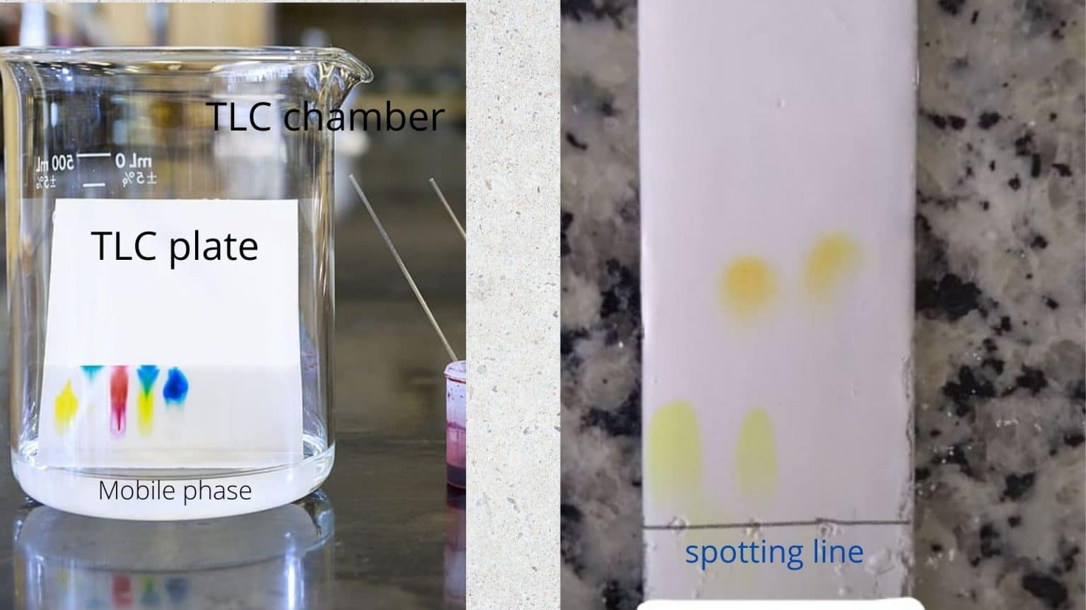 Thin Layer Chromatography Chemistry Notes