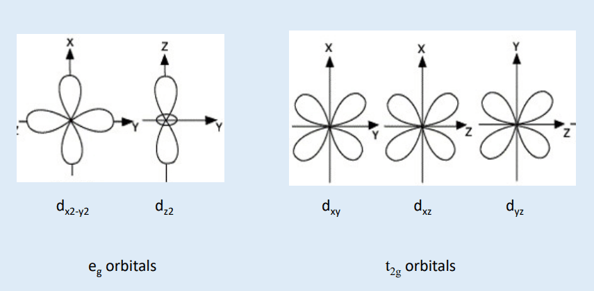 Spatial arrangements of d-orbitals.