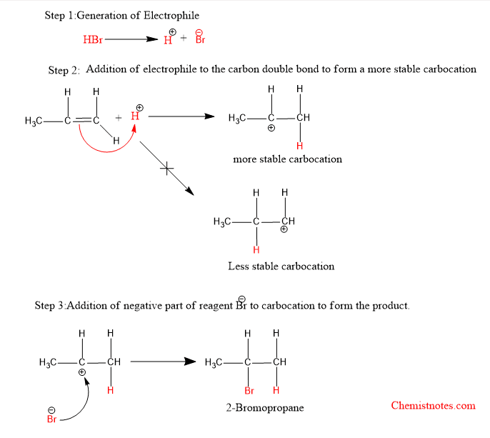 Markovnikov's rule mechanism