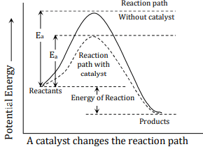 catalyst affecting rate of reaction