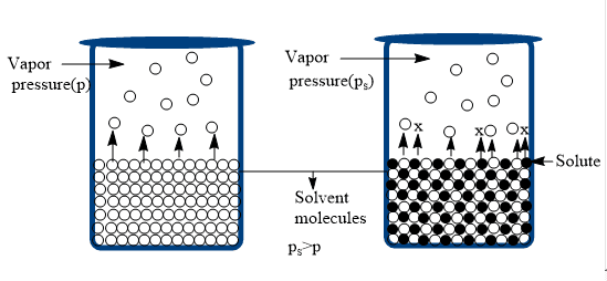 vapor pressure
how to find vapour pressure
lowering of vapour pressure is highest for
vapour pressure data
low pressure mercury vapour lamp applications
vapour pressure of water