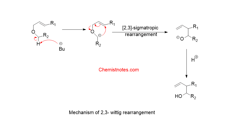 2 3 wittig rearrangement mechanism