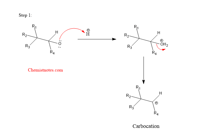 wagner meerwein rearrangement mechanism