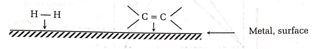 catalytic hydrogenation of alkene, catalytic hydrogenation mechanism