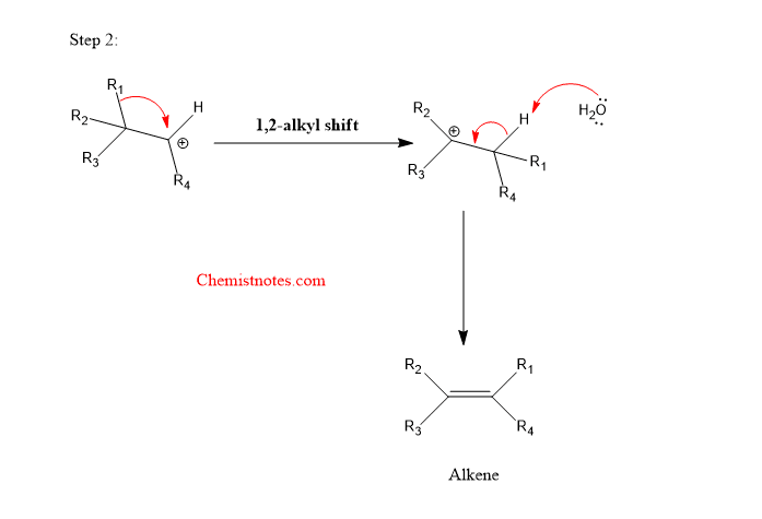 wagner meerwein rearrangement mechanism