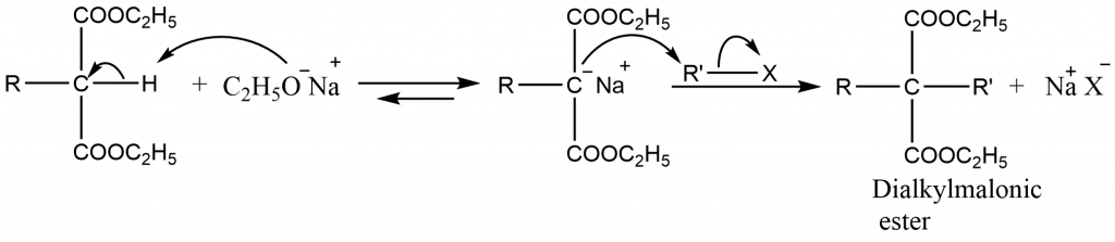 Mechanism of Malonic Ester Synthesis