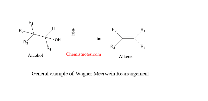 wagner meerwein rearrangement