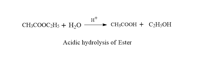 Acidic hydrolysis of ester