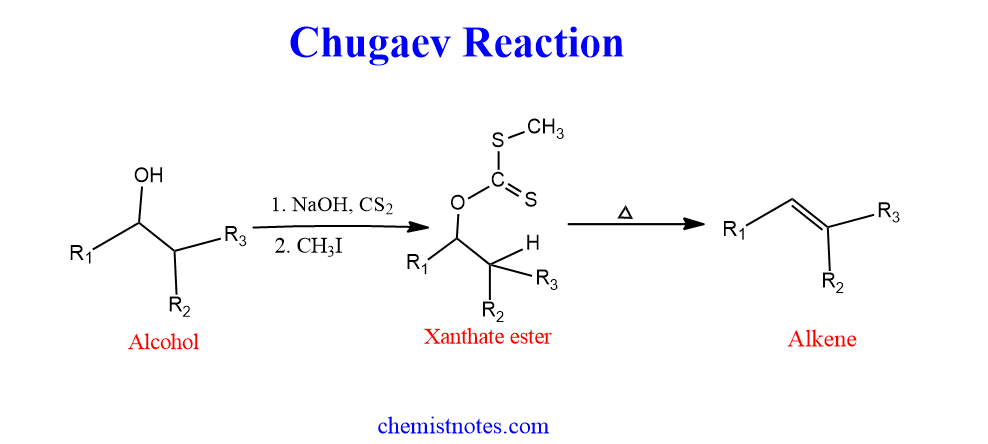 chugaev reaction mechanism