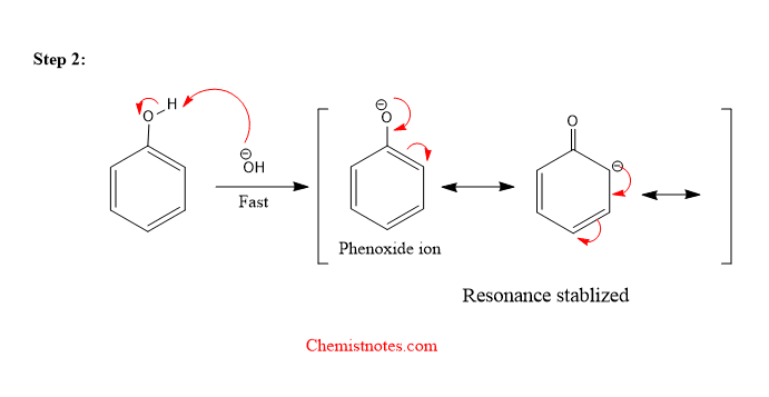 reimer tiemann reaction