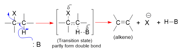 Mechanism of E2 reaction mechanism