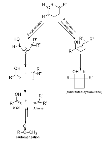 Norrish Type II Reaction