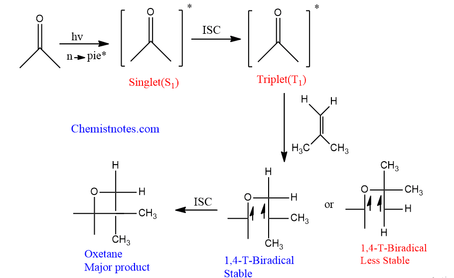 Paterno buchi reaction mechanism