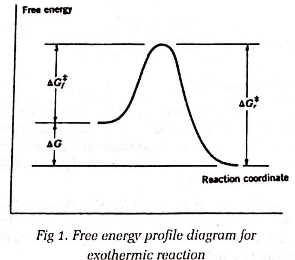 free energy profile diagram for exothermic reaction