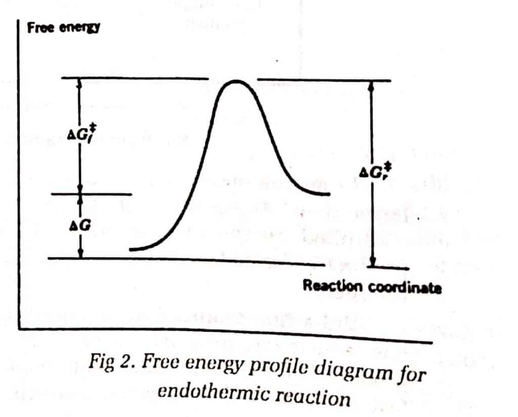 free energy profile diagram for endothermic reaction