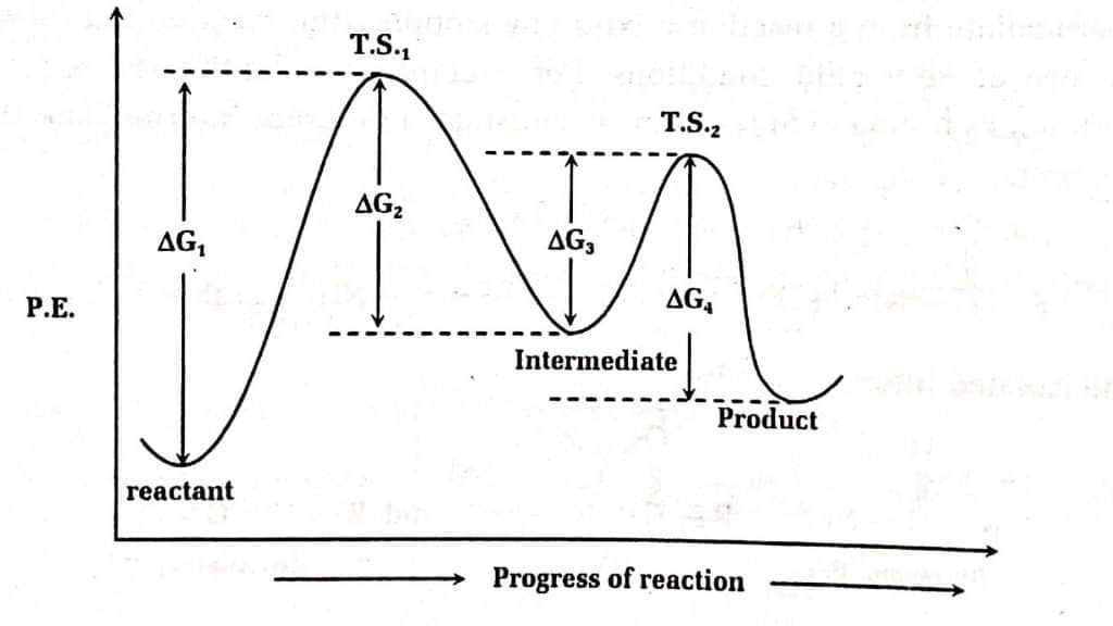 free energy profile diagram for 2 steps endothermic reaction