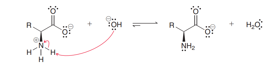 acidic property of amino acids