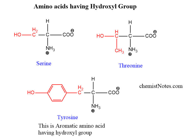 amino acids having hydroxyl group