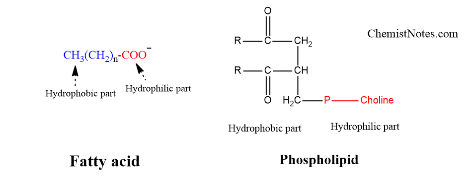 Amphipathic lipids