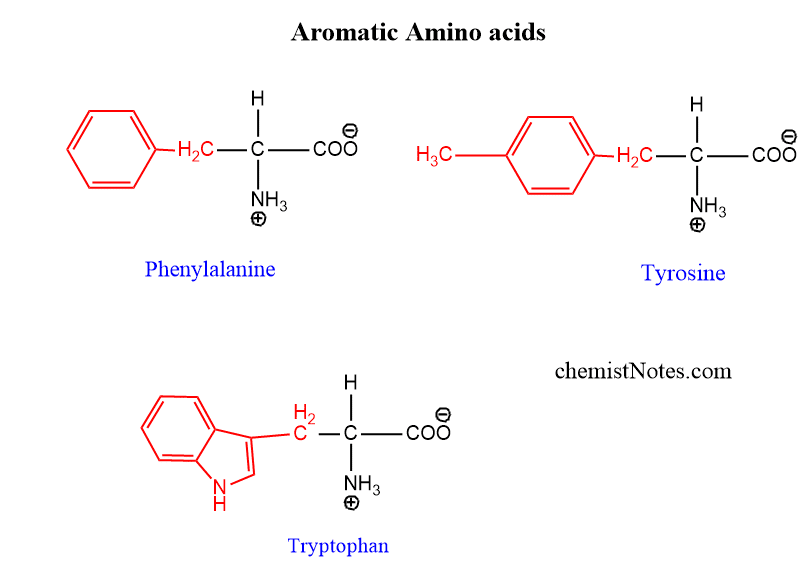Aromatic amino acids