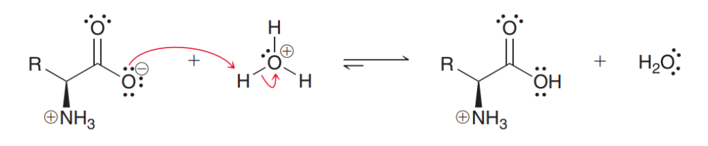 basic properties of amino acids