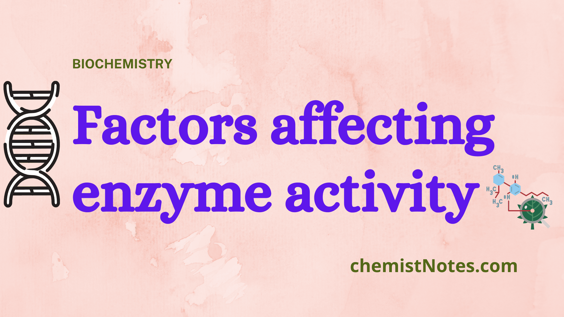 Factors affecting enzyme activity Chemistry Notes