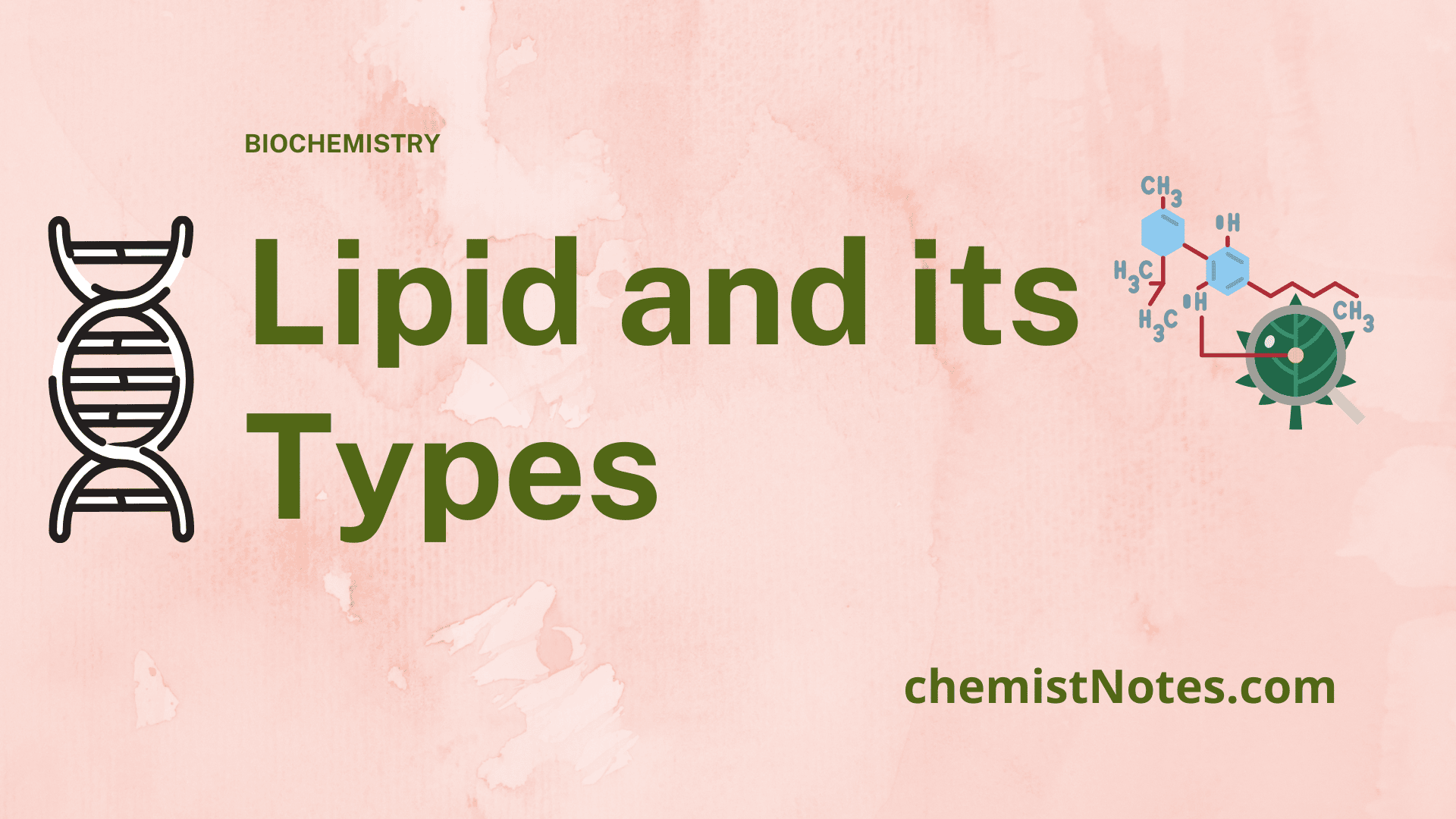 Lipids, Fatty acid, Triacylglycerol - Chemistry Notes