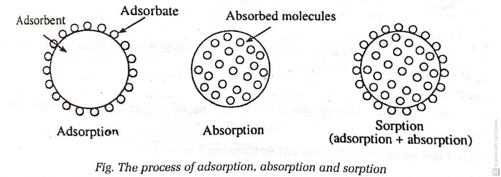 Adsorption, absorption, and sorption