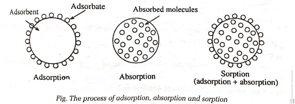 Example Of Sorption Process