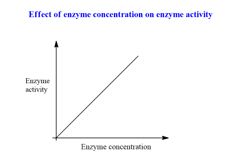 Factors affecting enzyme activity
