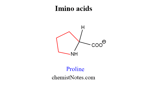 imino acids