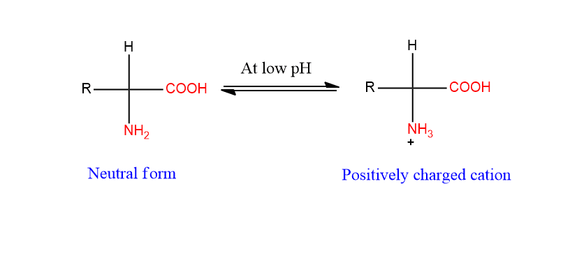 Low pH