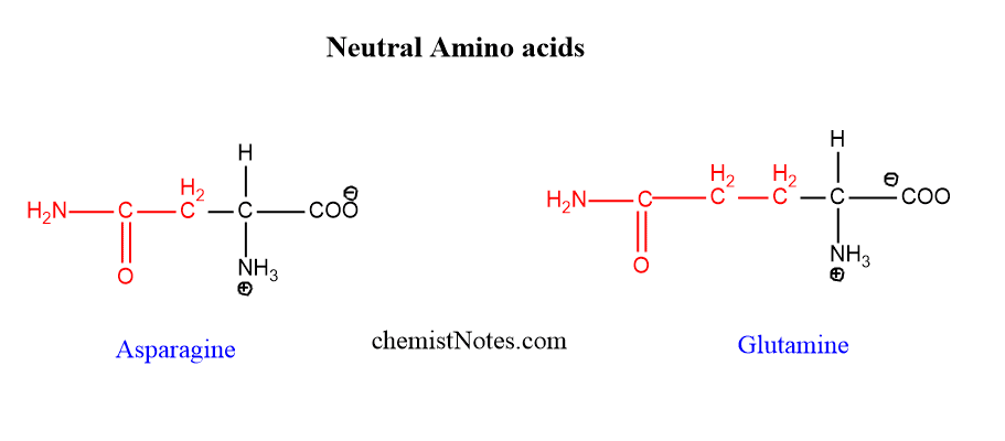 neutral amino acids