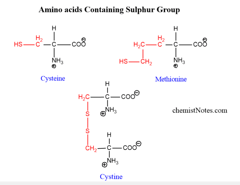 Classification Of Amino Acids Chemistry Notes