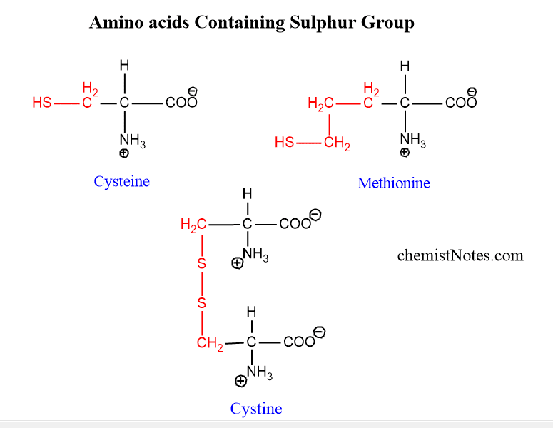 Sulphur containing amino acid