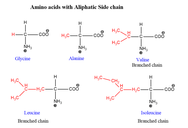 Classification Of Amino Acids Chemistry Notes 