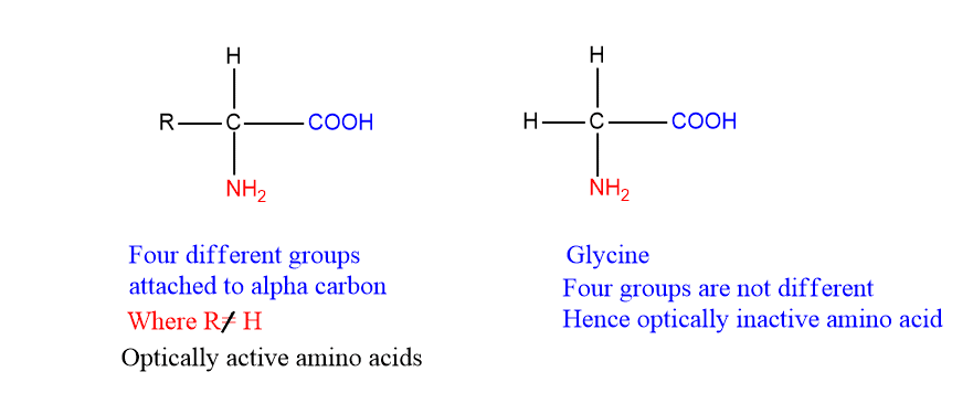 optically isomers of amino acids