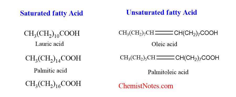 saturated and unsaturated fatty acid