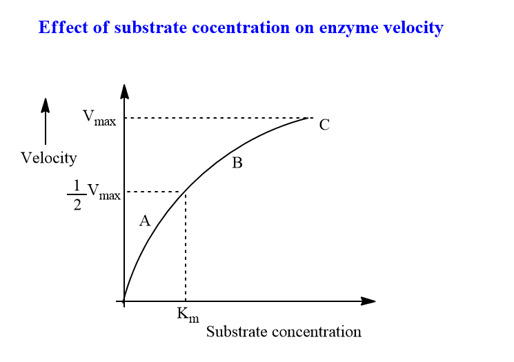 substrate concentration