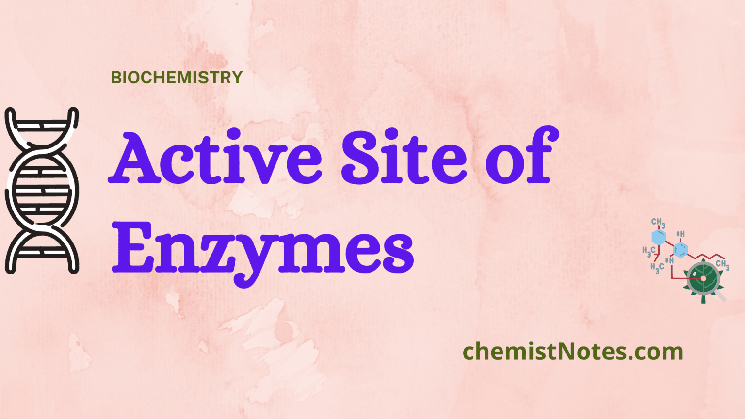 What Is Active Site Of Enzyme? - Chemistry Notes